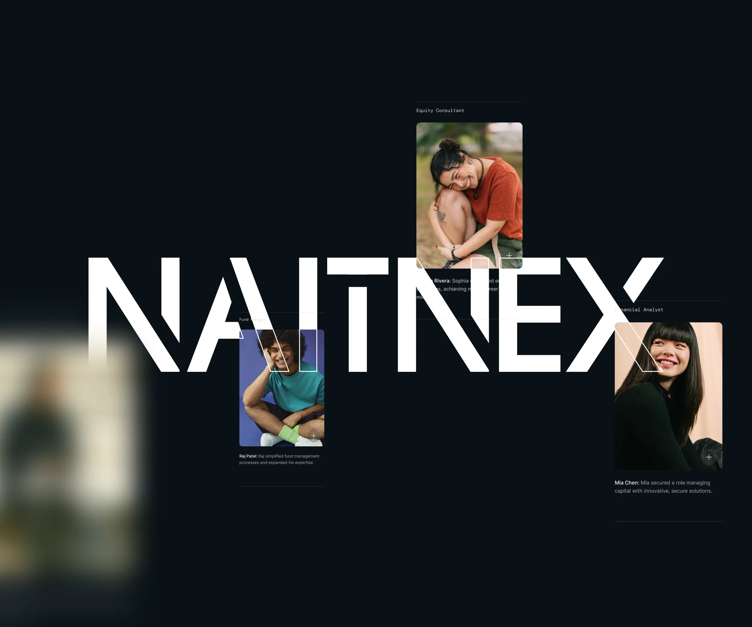 Naitnex, branding work by Azwedo